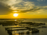 Lifestyle - Khám phá Tam Giang - Đầm phá nước lợ lớn nhất Đông Nam Á