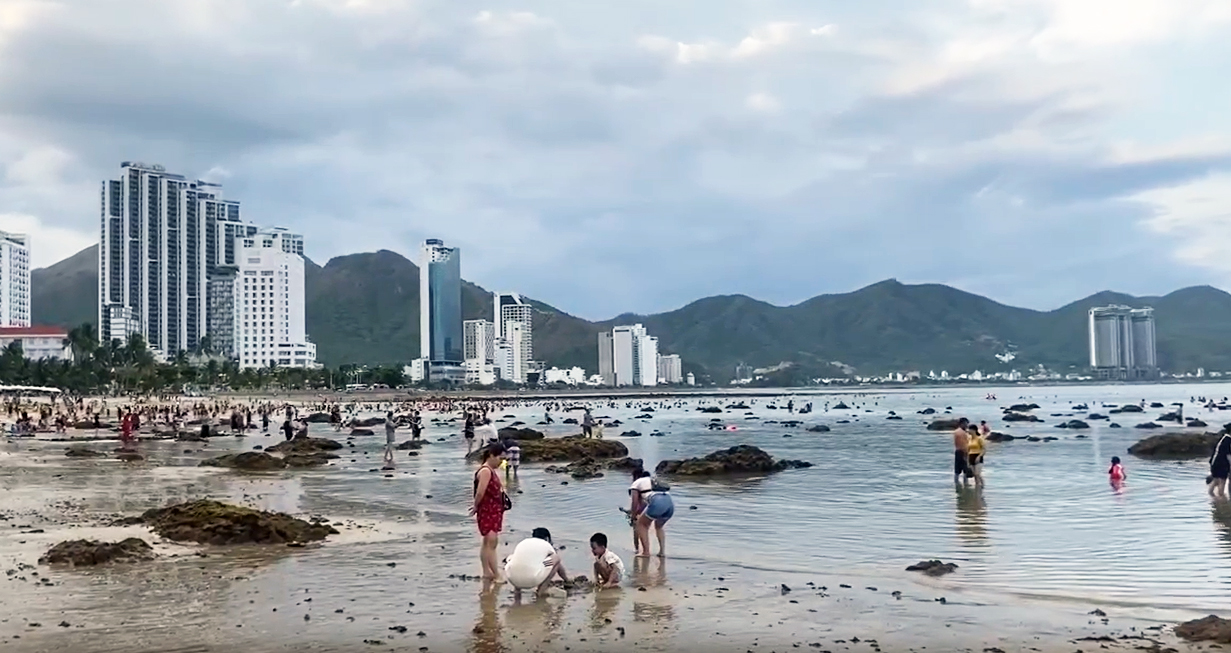 San hô đang phát triển tốt tại đây.