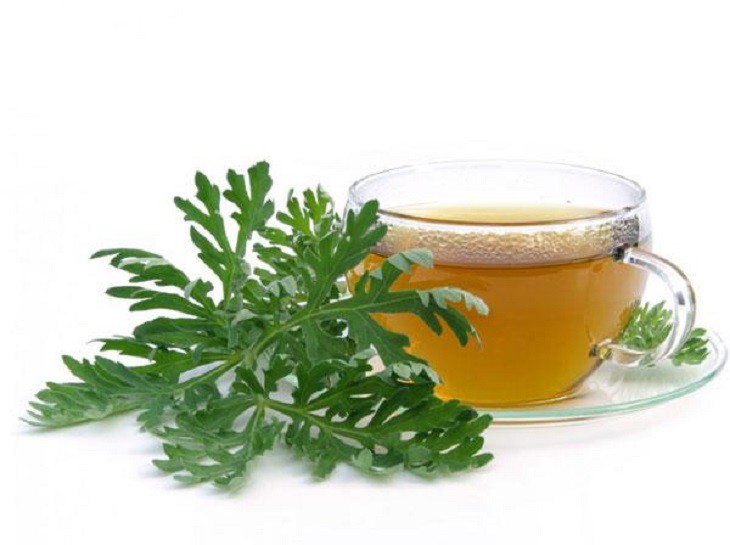 Ngải cứu rất tốt cho sức khỏe chị em, vì thế chuyên gia khuyên nên sử dụng thường xuyên. Ảnh minh họa. 