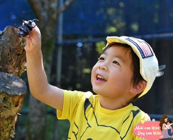 Đôi mắt sáng, đầy thắc mắc.