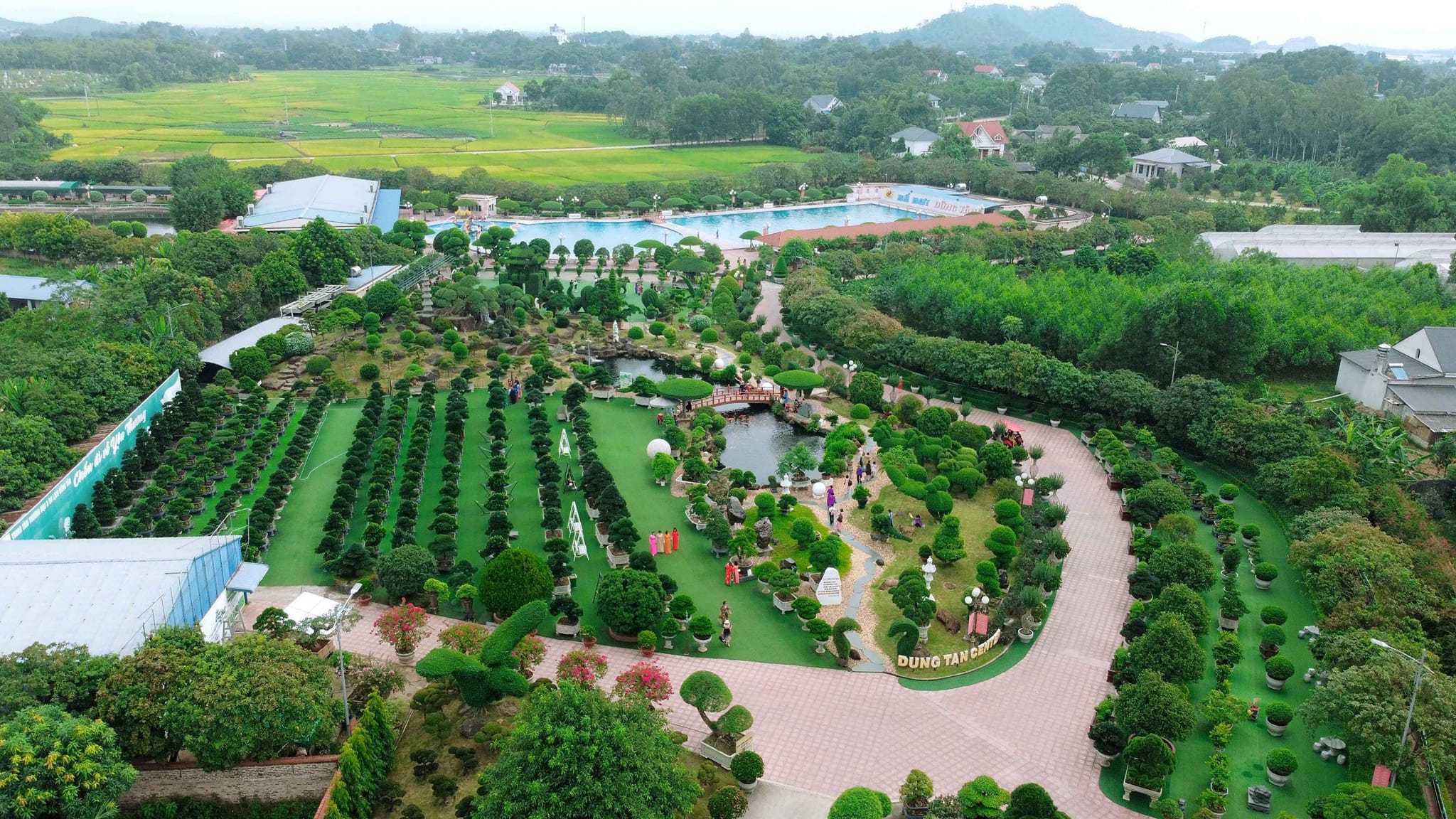 Đại gia ở Thái Nguyên “bê” toàn bộ dàn cây cảnh độc lạ về vườn nhà, thấy cây đẹp là “chốt đơn” - 2