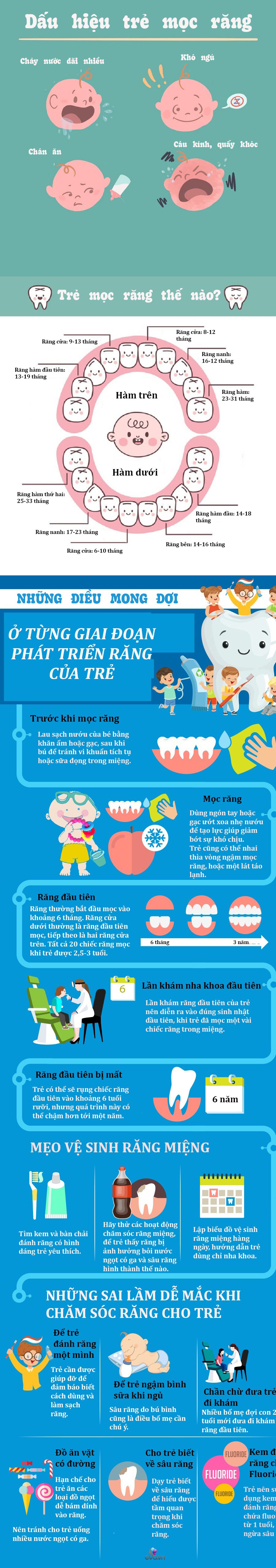 Infographic: Bảng chuẩn thứ tự và lịch mọc răng của trẻ sơ sinh - cách chăm sóc răng trẻ - 1