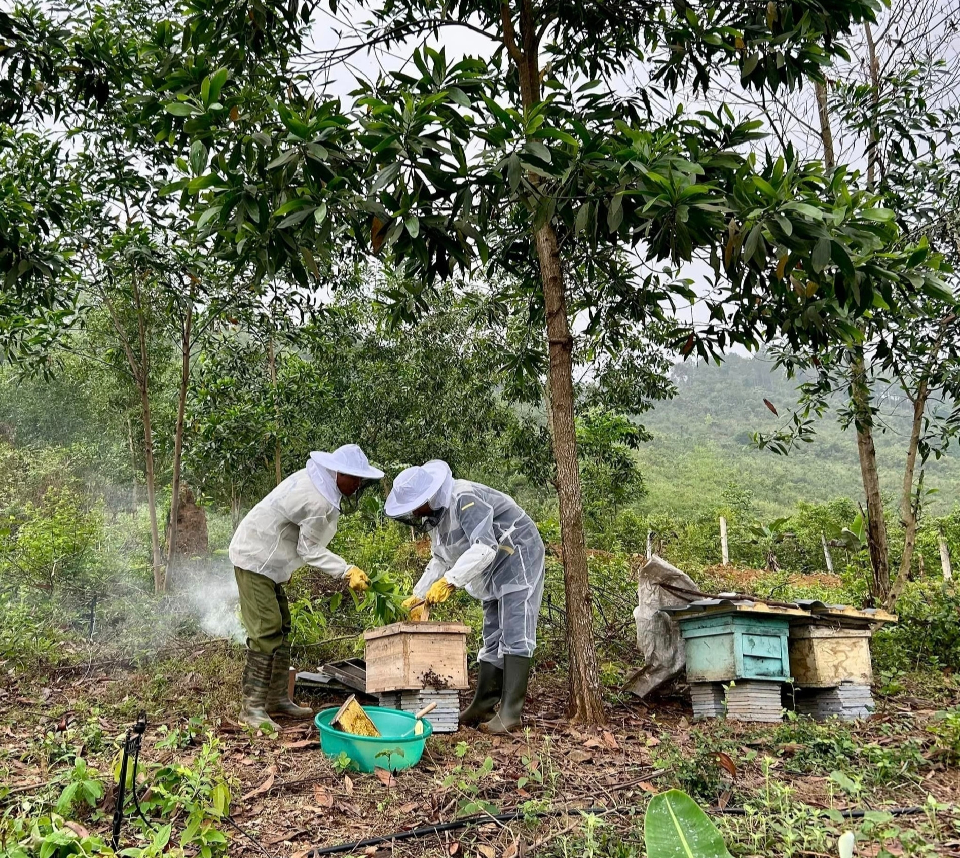 Tậu 2ha đất không điện, thiếu nước, vợ chồng Hưng Yên làm chốn ‘chữa lành’ - 4