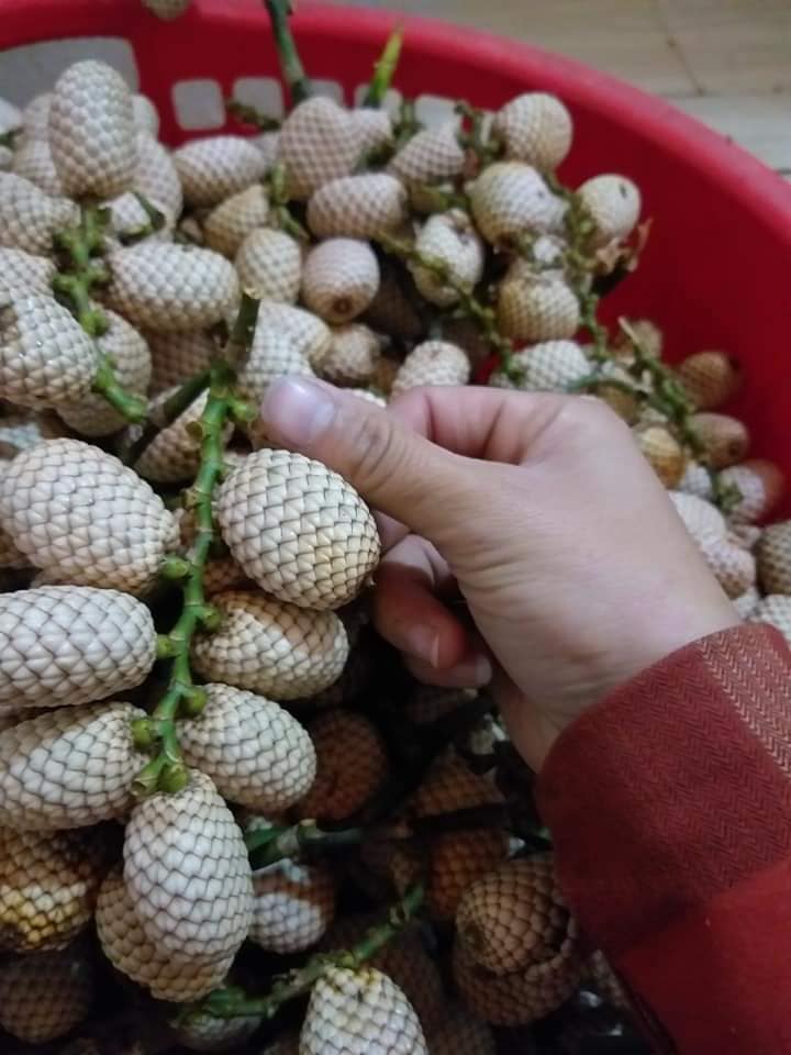 Quả mây có vị chua ngọt, hơi chát, có thể ăn luôn hoặc xóc muối ớt, ngâm rượu