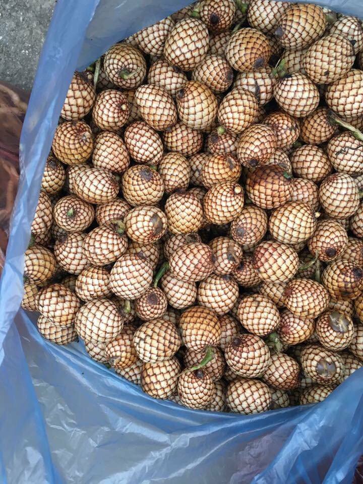 Loại quả xưa không ai ngó ngàng, giờ thành đặc sản có hương vị lạ, có tiền cũng khó mua được - 3
