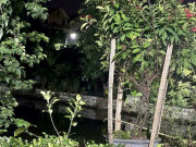 Tin tức - Ba bé trai đuối nước tử vong thương tâm dưới ao gần nhà