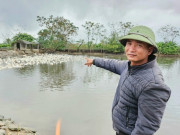 Tin tức - Anh nông dân mỗi năm bỏ túi 3 tỷ đồng nhờ nuôi con "hiền lành mê nước"