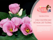 Nuôi con IQ EQ - Truyện cổ tích: Sự tích hoa cát tường