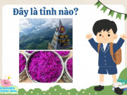 Nuôi con IQ EQ - Đọc tên các tỉnh thành Việt Nam qua hình ảnh đặc trưng