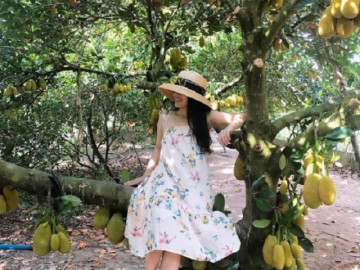 5 vườn trái cây ở Cần Thơ được ví như thiên đường quả ngọt, du khách tìm đến đông như trẩy hội