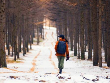 Người khôn ngoan biết 3 cách tốt nhất để làm giàu cho bản thân