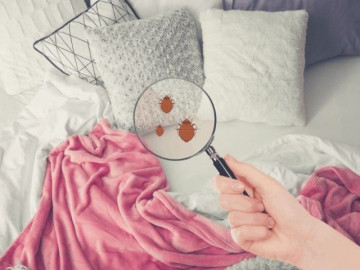 6 vật dụng quen thuộc trong nhà cần thay mới định kỳ, đặc biệt vào mùa mưa: Có món chỉ 5.000 đồng!