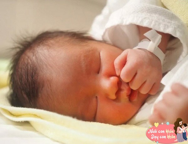 Những trẻ có mũi rộng và lỗ mũi lớn thường sở hữu một tính cách lạc quan.