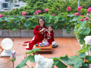 Nhà đẹp - Mẹ đảm làm vườn sen "lười" trên sân thượng, trồng một lần ngắm vài năm ở Hà Nội