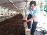 Tin tức - Nuôi con vật tận dụng cả thịt lẫn chất thải, anh nông dân thu 3 tỷ/tháng