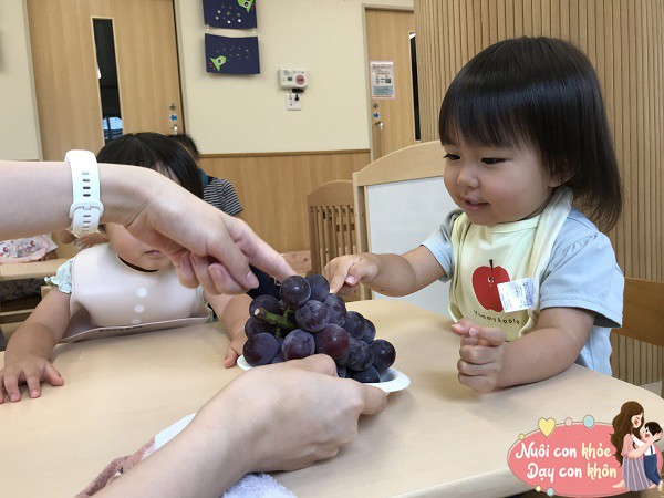 Đảm bảo dinh dưỡng cân bằng.