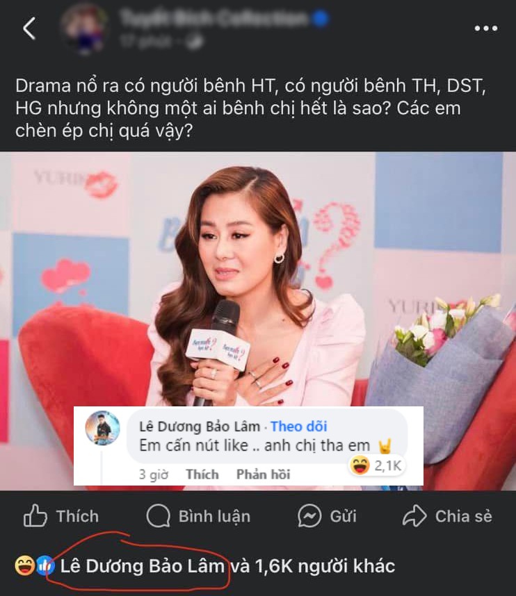 Lê Dương Bảo Lâm gây xôn xao khi ấn thích bài viết cà khịa đàn chị.