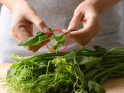 Sức khỏe - 2 loại rau dễ "tắm" thuốc trừ sâu, cái số 1 thường xuất hiện trong bữa ăn của nhiều gia đình