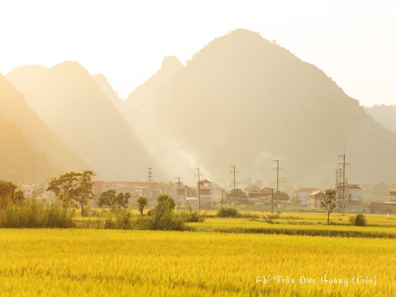 Trong đó, khí hậu mát mẻ và đất đai màu mỡ là điều kiện thuận lợi để bà con nơi đây canh tác hai vụ. (Ảnh: Trần Đức Hoàng)
