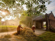 Lifestyle - 5 làng cổ bình yên ở Hà Nội với tuổi đời hàng trăm năm, có nơi mệnh danh là “Làng tiến sĩ” 