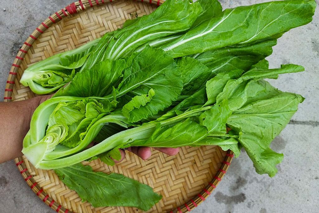 2 loại rau dễ ''tắm'' thuốc trừ sâu, cái số 1 nhiều người mê tít