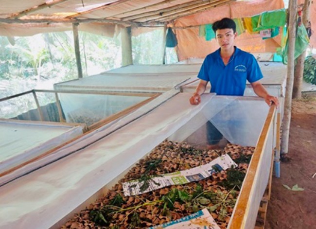 Nam thanh niên khởi nghiệp với việc nuôi dế