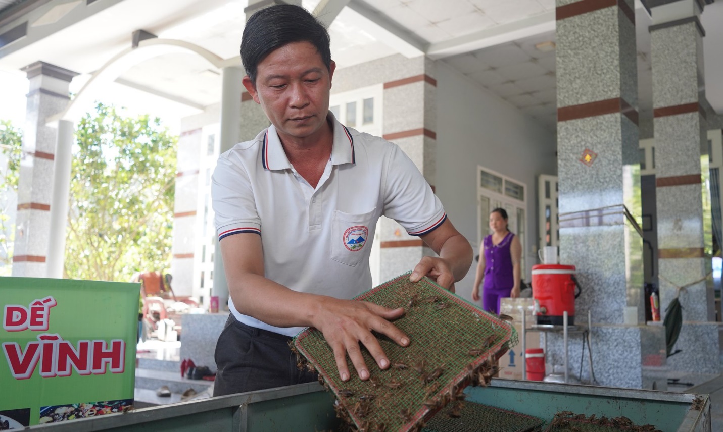 Anh Vĩnh nhận thấy nhiều giá trị kinh tế từ con dế