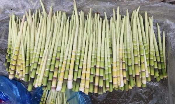 Cây dại mọc bờ bụi nay thành đặc sản có hương vị lạ, càng ăn càng mê, 80.000 đồng/kg - 2