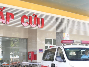Đi cấp cứu trong tình trạng nguy kịch vì cho ong đốt vào gối để chữa đau khớp