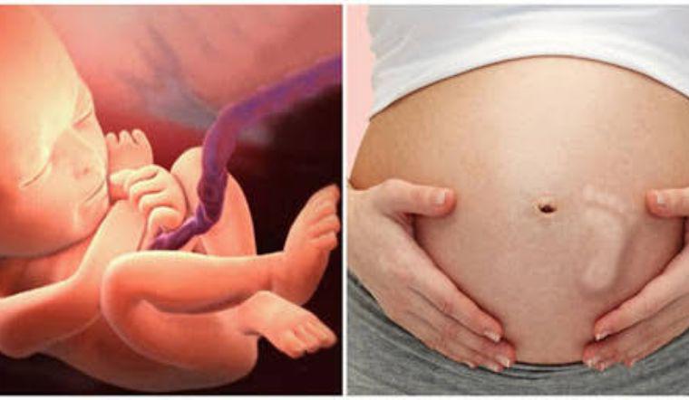 Mẹ bầu cảm nhận được em bé chuyển động như thế nào qua từng tuần thai - 2