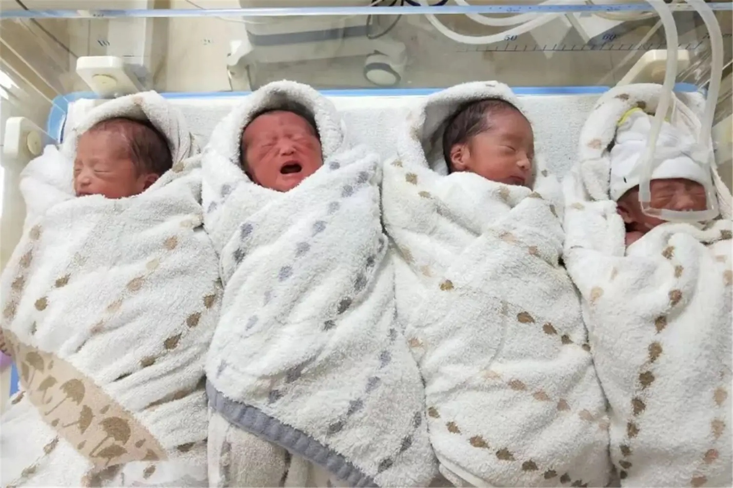 4 cô con gái chào đời trong niềm hạnh phúc của gia đình.