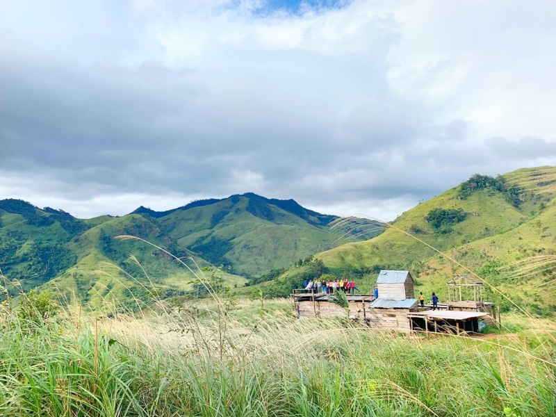 Ra khỏi cánh rừng, đồng cỏ bao la dang tay đón chào bạn. Đồng cỏ có dạng lòng chảo, trũng ở giữa, còn xung quanh là núi cao. Cỏ lau cao đến tận vai người dập dìu trong gió. (Ảnh: Venus Pham)
