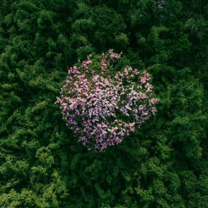 Người dân nơi đây với đời sống chan hòa với tự nhiên cũng là một điểm thu hút du khách.(Ảnh: Nguyễn Đức Hiếu)
