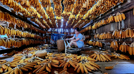 Interior of the House of Corn