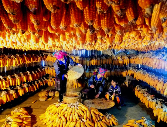 House of Corn Màng Mủ