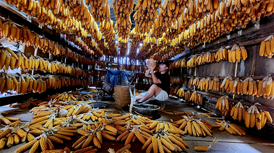 Impressive Interior of the House of Corn