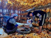 Lifestyle - Thoải mái chơi ở ngôi nhà ngô chỉ với 10 ngàn đồng khi đến Mù Cang Chải