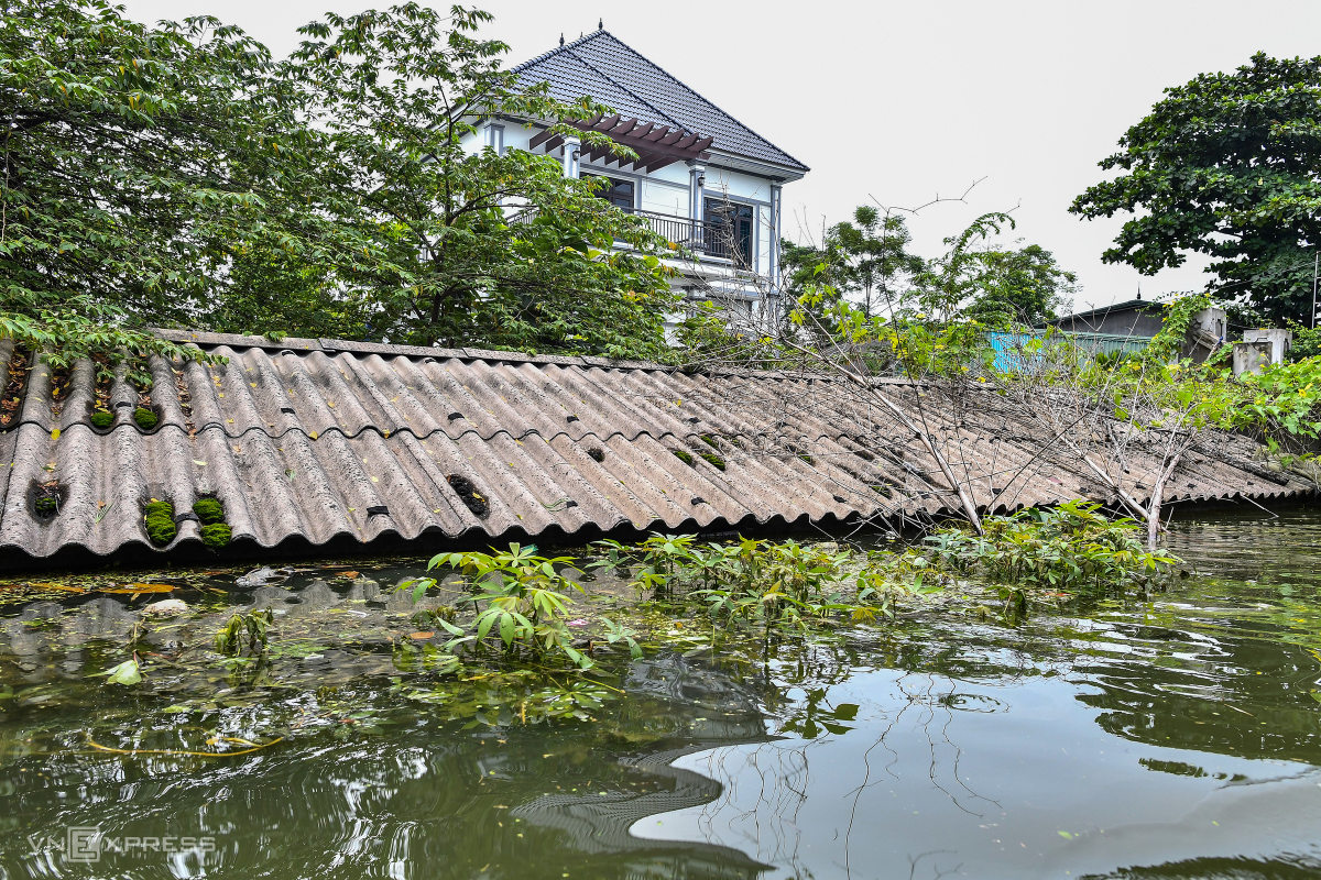 Ngoài Nam Phương Tiến, ngập lụt tại huyện Chương Mỹ đang diễn biến phức tạp với 11 xã, 27 thôn, xóm bị ảnh hưởng. Trong đó, hơn 1.300 nhà dân bị ngập 0,5-2 m, hơn 1.100 hộ khác bị ngập lối đi. Hệ thống giao thông và thủy lợi cũng bị tàn phá nặng nề với 5,5 km đê bị ngập, 37 m bị sạt lở và hơn 160.000 m đường giao thông nông thôn, nội đồng bị ngập.