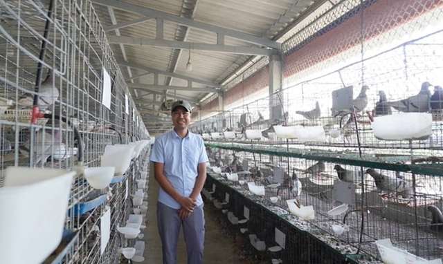 Anh nông dân tìm được bến đỗ với nghề nông với chim bồ câu Pháp. Ảnh: Báo Nông Nghiệp.