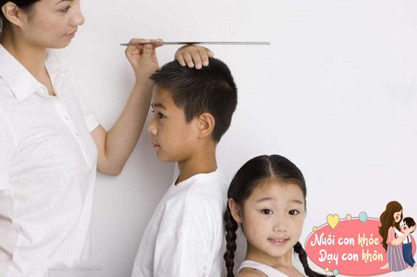 Theo một nghiên cứu trên Tạp chí Y học Dự phòng Trung Quốc (Tập 39, Số 5, 2005), tỷ lệ chiều cao của nam và nữ ảnh hưởng đến khả năng di truyền của thế hệ sau lần lượt là 0,89 và 0,87.