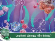 Clip Eva - Ung thư di căn nguy hiểm thế nào?