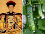 Bà bầu - Phi tần được Càn Long sủng ái, sau khi sinh công chúa vua thưởng 2 quả dưa chuột khiến nhiều người ganh tỵ