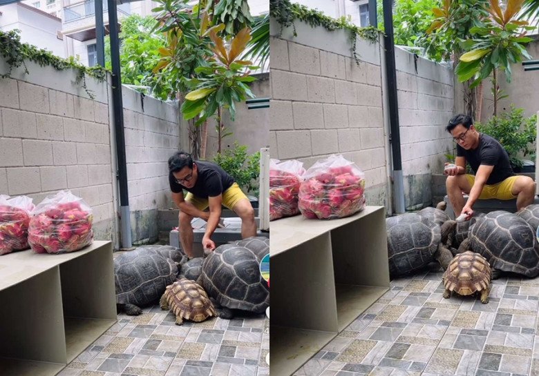 Sao Việt 24h: Xuân Hinh khoe bảo tàng đạo Mẫu hàng nghìn m2 dưới ánh trăng, dân tình xuýt xoa bởi độ hoành tráng - 9