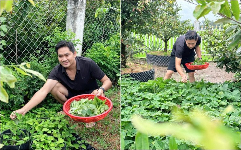 Nam diễn viên ra vườn hái rau ở quê nhà.