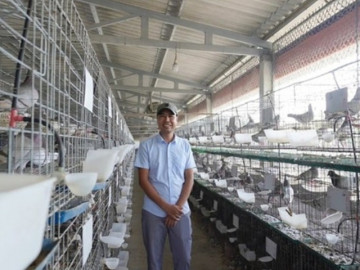 Anh nông dân nhẹ nhàng lãi 1 tỷ/năm nhờ nuôi con quen thuộc mắn đẻ ở phòng mát lạnh