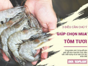Clip Eva - 3 bước chọn tôm tươi ngon, giữ gìn sức khỏe cả nhà