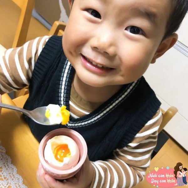 Trứng chứa nhiều dưỡng chất tốt như protein, canxi... nên bổ sung vào thực đơn dinh dưỡng cho trẻ.