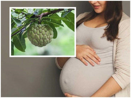 Tháng 8 vào mùa quả na chín rộ, nếu bà bầu ăn cần lưu ý 4 điều