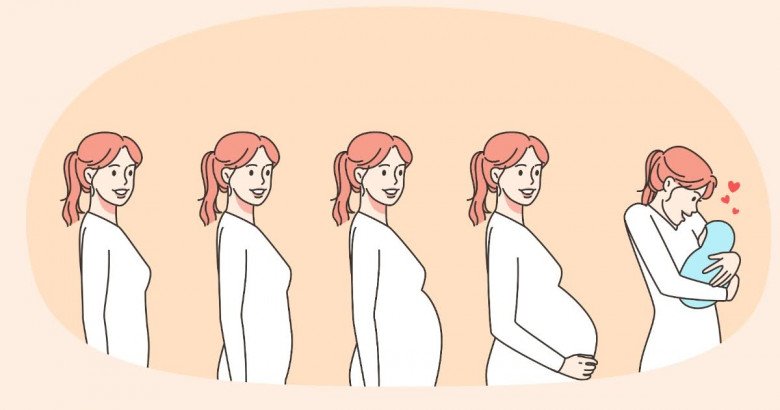 Điều kỳ diệu trong 3 giai đoạn của thai kỳ: Từ những dấu hiệu khởi đầu của sự sống đến diễn biến chờ sinh nở - 1