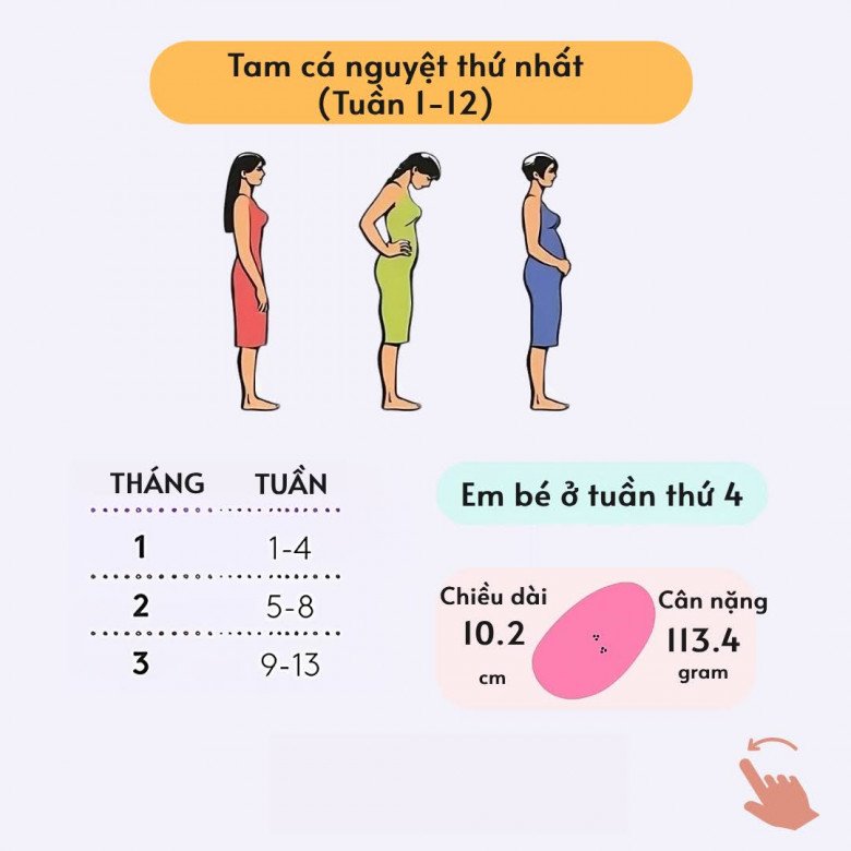 Điều kỳ diệu trong 3 giai đoạn của thai kỳ: Từ những dấu hiệu khởi đầu của sự sống đến diễn biến chờ sinh nở - 2